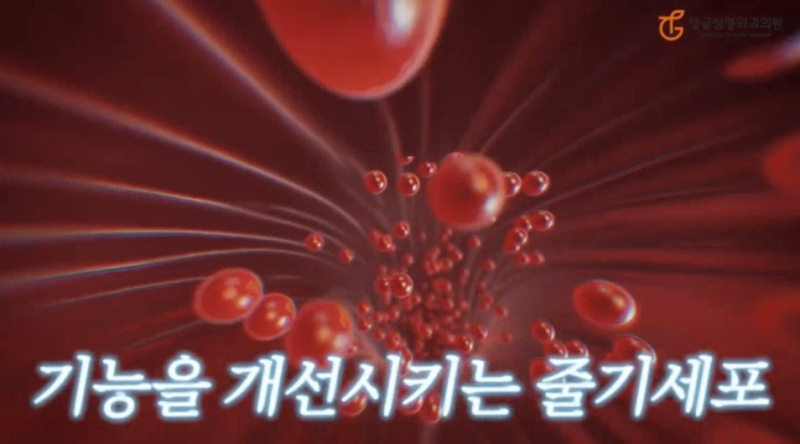 압구정줄기세포, 성형외과에서 이렇게 씁니다 사진 3