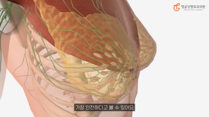 처진가슴수술비용, 분반 수유와 체중 변화